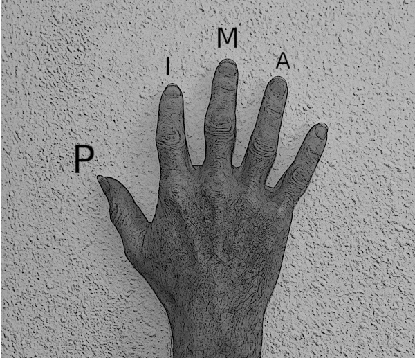 pima-hand-600